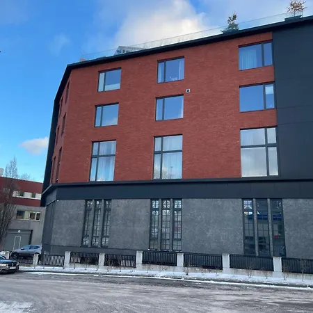 Modern Loft In The Middle Of The City, Parking Space, Tv Game * Tallinn